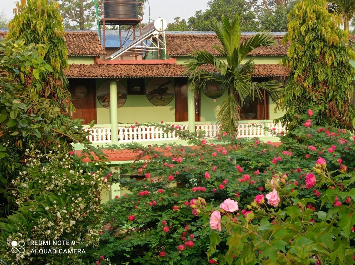 Hotel Rhino Land-Sauraha With Garden Place Run By Local Family エクステリア 写真