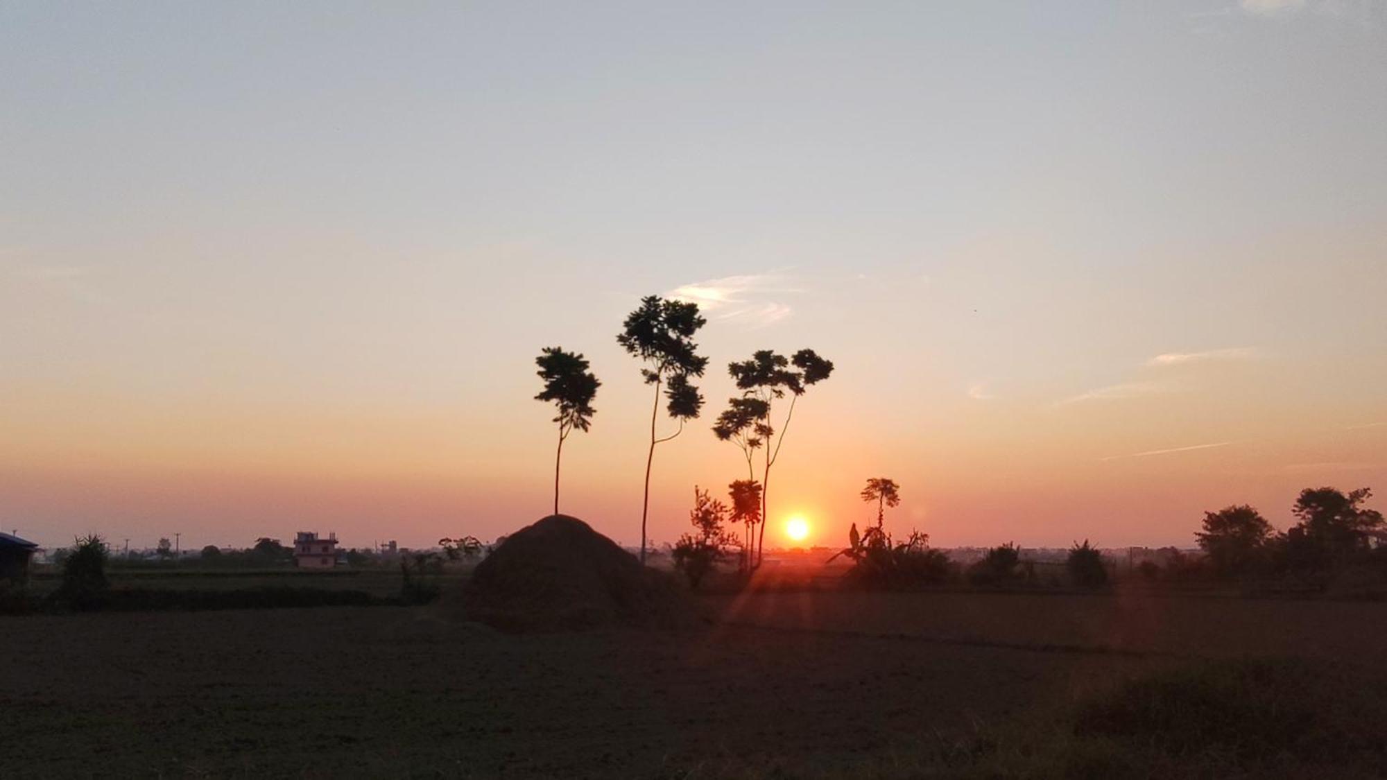 Hotel Rhino Land-Sauraha With Garden Place Run By Local Family エクステリア 写真