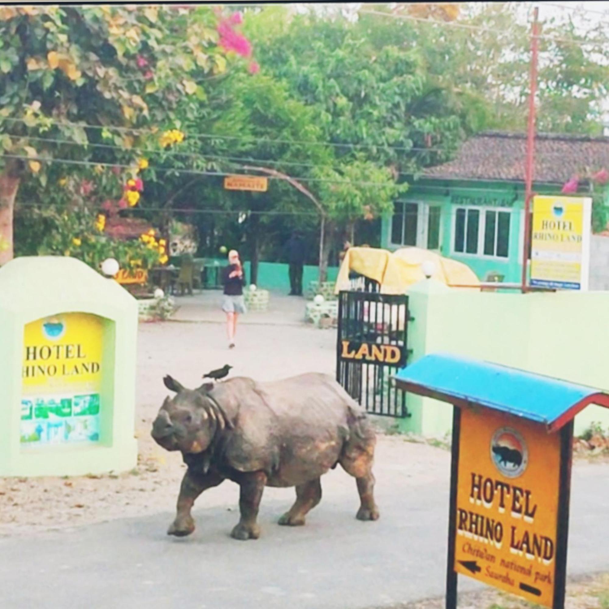 Hotel Rhino Land-Sauraha With Garden Place Run By Local Family エクステリア 写真